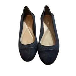 Like New Alfani Blue Shoes